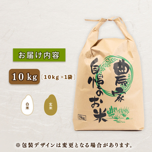【 令和7年産 】 コシヒカリ 特別栽培米 白米 10kg こしひかり