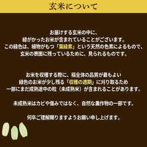 米 令和7年産 ミルキークイーン 玄米 5kg