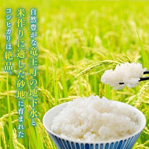 【 令和7年産 】 コシヒカリ 特別栽培米 玄米 5kg こしひかり