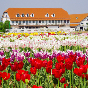 竜王町 返礼品なしの応援受付【返礼品なし/1,000円?1,000,000円】