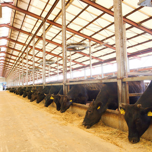 竜王町 返礼品なしの応援受付【返礼品なし/1,000円?1,000,000円】