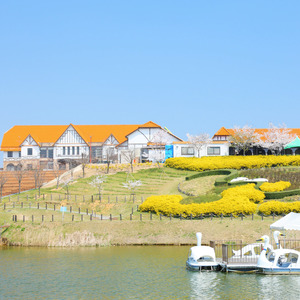 竜王町 返礼品なしの応援受付【返礼品なし/1,000円?1,000,000円】