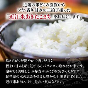 令和6年産 新米 白米 10kg あきたこまち 5kg × 2袋 精米 近江米 アキタコマチ 国産 お米 米 おこめ ごはん ご飯 白飯 しろめし こめ ゴハン 御飯 滋賀県産 竜王 ふるさと ランキング 人気 おすすめ