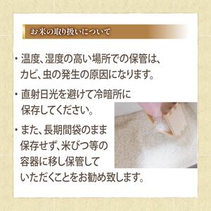 令和6年産 新米 白米 10kg あきたこまち 5kg × 2袋 精米 近江米 アキタコマチ 国産 お米 米 おこめ ごはん ご飯 白飯 しろめし こめ ゴハン 御飯 滋賀県産 竜王 ふるさと ランキング 人気 おすすめ