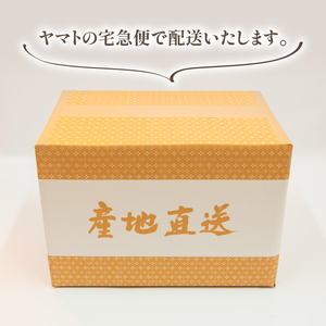 令和6年産 新米 白米 10kg あきたこまち 5kg × 2袋 精米 近江米 アキタコマチ 国産 お米 米 おこめ ごはん ご飯 白飯 しろめし こめ ゴハン 御飯 滋賀県産 竜王 ふるさと ランキング 人気 おすすめ