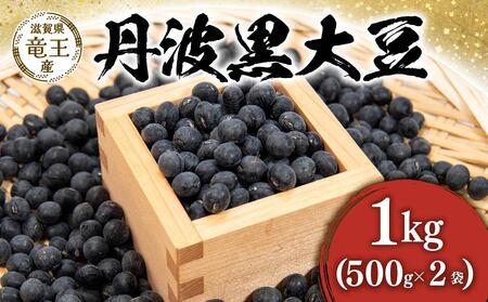 【先行予約】丹波黒豆 1kg ( 500g × 2袋 ) 竜王町産 黒豆