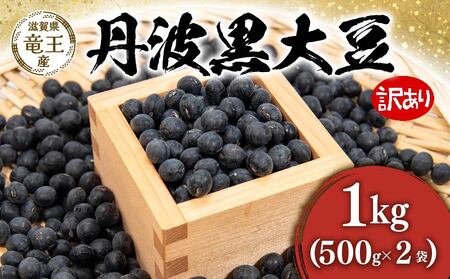 【先行予約】訳あり 丹波黒豆 1kg ( 500g × 2袋 ) 竜王町産 黒豆