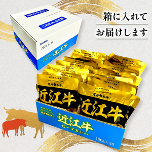 近江牛 カレー 160g × 30袋 セット ( 黒毛和牛 カレー 牛肉 カレー 4800g レトルト