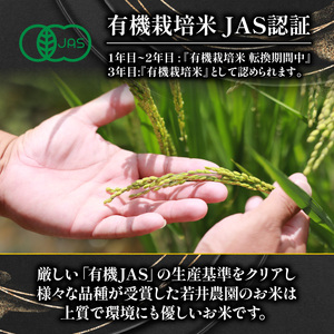 【 プレミアム米 】 令和7年産 新米 ミルキークイーン 5kg 白米 精米 新米 滋賀県 竜王町 有機JAS 転換期間中 ミルキークイーン スピード配送 