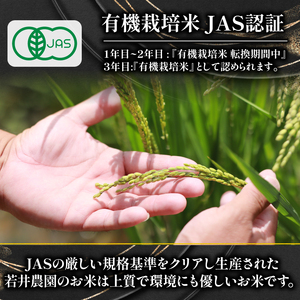 オーガニック米 】 令和7年産 米 羽二重餅 玄米 2kg | 滋賀県竜王町 