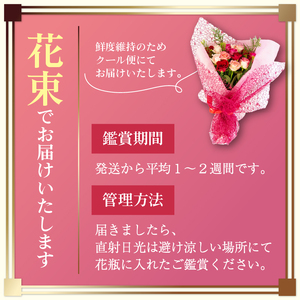 【 薔薇 ＆ ワイン セット 】バラ 花束 12本 色 赤ピンク系 ＆ 赤ワイン 1本 （ ローズ フラワー 花 ブーケ 薔薇 新鮮 ばら 高品質 綺麗 ご褒美 花束 草花 誕生日 記念日 母の日 父の日 敬老の日 プロポーズ 結婚祝い 結婚式 プレゼント お祝い 贈り物 贈答 インテリア おしゃれ かわいい 雑貨 飾り 鑑賞 旬 植物 春夏秋冬 季節 自宅用