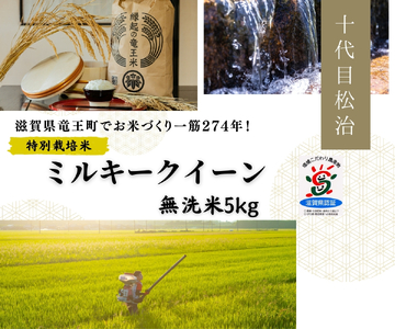 米 ミルキークイーン 無洗米 5kg 縁起の竜王米 （令和7年産）