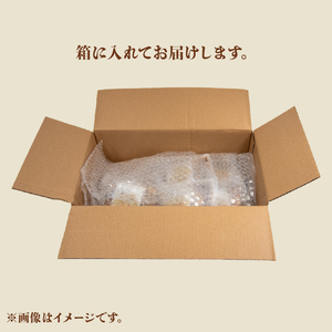 近江牛 煮込み ハンバーグ 6個 【近江牛 国産 豚 合い挽き】