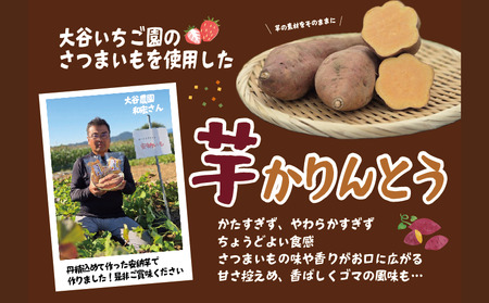芋 かりんとう 10袋 1袋 70g 安納芋 甘さ控えめ ごま いも イモ さつまいも サツマイモ いもかりんとう パリパリ ポリポリ おやつ お菓子 和菓子 セット 国産 おつまみ 小分け お裾分け 竜王町産 大谷農園 滋賀県 竜王町 ふるさと納税 送料無料 芋 かりんとう 10袋 1袋 70g 安納芋 甘さ控えめ ごま いも イモ さつまいも サツマイモ いもかりんとう パリパリ ポリポリ おやつ お菓子 和菓子 セット 国産 おつまみ 小分け お裾分け 竜王町産 大谷農園 滋賀県 竜王町 ふるさと納税 送料無料