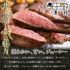 【 先行予約 】 近江牛 サーロインステーキ 6枚 計 900g とろける きめ細やか ブランド 肉 にく 牛 牛肉 国産 松坂牛 神戸牛 に並ぶ ギフト 贈答 ご褒美 滋賀県 竜王町 澤井牧場