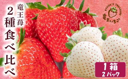 竜王町産 いちご 紅白食べ比べセット 2パック 天使の苺 白いちご