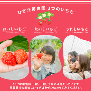 いちご 章姫 1箱 計350g | イチゴ 苺 あきひめ