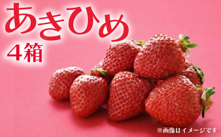 いちご 章姫 4箱 計1.4g | イチゴ 苺 あきひめ