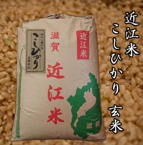 コシヒカリ玄米30kg 近江米 | capacitasalud.com