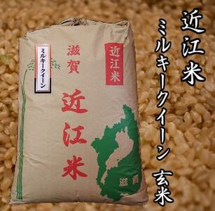 米 近江米 ミルキークイーン 玄米 30kg 米粉200g付 農家直送 滋賀県産