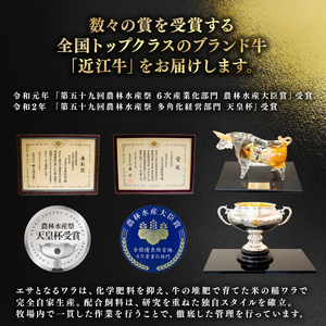 近江牛 すき焼き しゃぶしゃぶ 1000g 冷凍 
