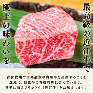 近江牛 すき焼き しゃぶしゃぶ用 1000g 冷凍 (赤身)