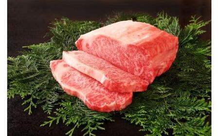 【近江牛 ステーキ用(サーロイン2枚)】肉 牛肉 ステーキ ブランド牛 三大和牛 和牛 黒毛和牛 国産 バーベキュー 贈り物 ギフト プレゼント 冷凍 滋賀県 竜王