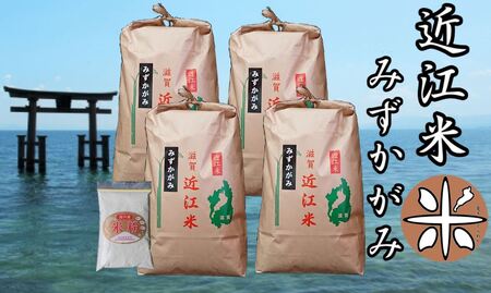 米 新米 令和4年産 白米 近江米 みずかがみ 20kg ( 5kg × 4袋 ) 米粉