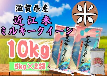 米 近江米 ミルキークイーン 白米 10kg ( 5kg × 2袋 ) 新米 令和4年産