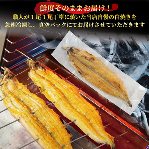 国産 うなぎ 白焼き 約400g ( うなぎ タレ付 鰻 うなぎ 冷凍 うなぎ 鰻 丑の日 鰻 うなぎ 自家製 うなぎ 鰻 ギフト うなぎ 鰻 お中元 うなぎ 鰻 お歳暮 うなぎ 鰻 滋賀県 竜王町 吉味)