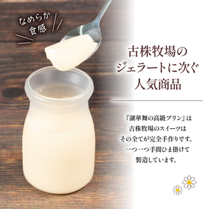 プリン 2種 計6個 しぼりたて 牛乳 900ml セット 湖華舞 