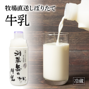 プリン 2種 計6個 しぼりたて 牛乳 900ml セット 湖華舞 