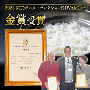 令和6年産 新米 夢ごこち 5kg ( 2024年産 ゆめごこち )