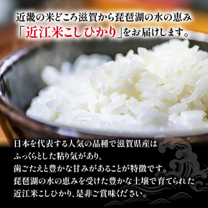 令和5年産 コシヒカリ 白米 10kg 近江米 米粉 200g付（竜王町産