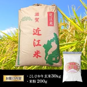 令和5年産 コシヒカリ 玄米 30kg 近江米  米粉 200g付（竜王町産 こしひかり こしひかり 白米 こしひかり 精米 こしひかり 10キロ こしひかり）