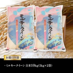 令和6年産 新米 白米 10kg ミルキークイーン 5kg × 2袋 精米 近江米 みるきーくいーん 国産 お米 米 おこめ ごはん ご飯 白飯 しろめし こめ ゴハン 御飯 滋賀県産 竜王 ふるさと ランキング 人気 おすすめ