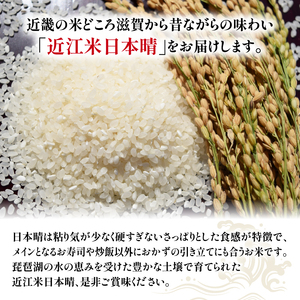 【定期便】令和5年産 日本晴 10kg 全3回 近江米 米粉 200g付