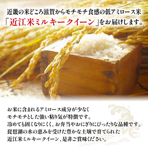 定期便】令和5年産 ミルキークイーン 10kg 全6回 近江米 米粉 200g付