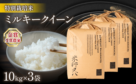 令和6年産 新米 ミルキークイーン 10kg×3袋 ( 2024年産 ブランド 米 rice 精米 白米 ご飯 内祝い 十六代目米師又八 謹製 もちもち 国産 送料無料 滋賀県 竜王 ふるさと納税 )