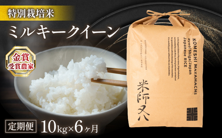  令和6年産 新米 定期便 6ヶ月 ミルキークイーン 10kg  ( 6回 計 60kg 2024年産 ブランド 米 rice 精米 白米 ご飯 内祝い 十六代目米師又八 謹製 もちもち 国産 送料無料 滋賀県 竜王 ふるさと納税 ) 