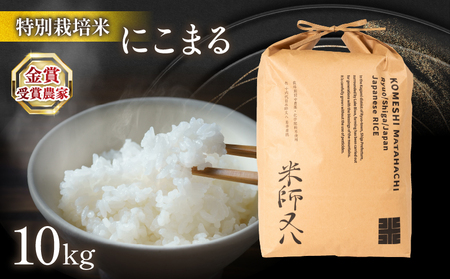 令和6年産 新米 十六代目米師又八 謹製 にこまる 10kg ( 米 にこまる 精米 にこまる 白米 にこまる 2024年産 にこまる 産地直送 に こまる 農家直送 にこまる 国産 にこまる 特別栽培米 にこまる 金賞農家 にこまる 滋賀県 竜王町) | 滋賀県竜王町 | ふるさと納税サイト ...