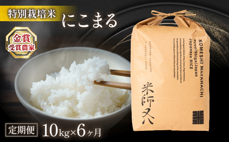 【定期便】 令和5年産 十六代目米師又八 謹製 にこまる 10kg×6ヶ月  ( 米 にこまる 精米 にこまる 白米 にこまる 令和5年産 にこまる 産地直送 にこまる 農家直送 にこまる 国産 にこまる 特別栽培米 にこまる 金賞農家 にこまる 滋賀県 竜王町)