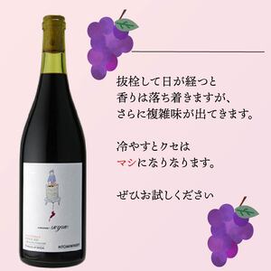 ワイン cuvee RYUO 2021 キュベリュウオウ 1本 750ml 赤 ワイン ライト ボディ 辛口 マスカット ベリー ギフト 日本ワイン 酒 プレゼント 贈り物 ギフト ヒトミワイナリー お酒 地酒 果実酒 ぶどう酒 葡萄酒 滋賀 竜王町 送料無料