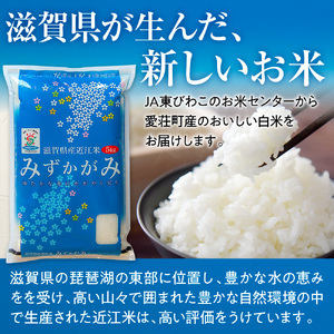近江米 ２品種 食べ比べセット 10kg 白米 ミルキークイーン みずかがみ 各5kg BD27