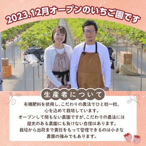 採れたて瞬間冷凍！　滋賀県愛荘町産　冷凍いちご 3kg（500g×6）品種ミックス  BJ06
