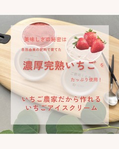 滋賀県愛荘町産　いちごを贅沢に使った濃厚いちごのご褒美ice　希少品種黒いちごの「真紅の美鈴ソルベ」滋賀県オリジナルいちごの「みおしずくジェラート」６個セット（各３個） BJ08