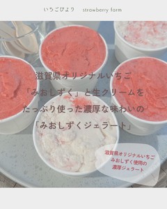 滋賀県愛荘町産　いちごを贅沢に使った濃厚いちごのご褒美ice　希少品種黒いちごの「真紅の美鈴ソルベ」滋賀県オリジナルいちごの「みおしずくジェラート」６個セット（各３個） BJ08