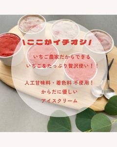 滋賀県愛荘町産　いちごを贅沢に使った濃厚いちごのご褒美ice　希少品種黒いちごの「真紅の美鈴ソルベ」滋賀県オリジナルいちごの「みおしずくジェラート」６個セット（各３個） BJ08