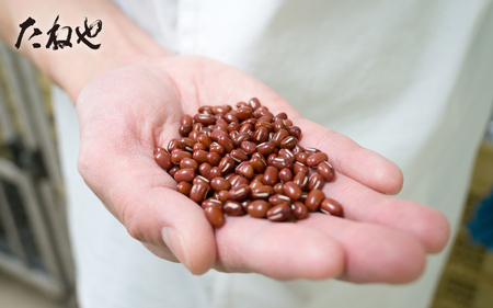 ふくみ天平12・本生羊羹 冬味6 BN33