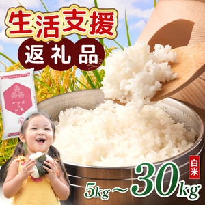 【令和7年産含む】 近江ブレンド米 20kg 愛荘町産 白米 精米 米 お米 単一原料米 ブランド米 銘柄米 国産 ご飯 白飯 ゴハン 食品 支援 支援品 生活支援 生活応援 送料無料 AY003